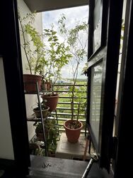 Blk 605B Tampines Greenridges (Tampines), HDB 4 Rooms #520547321
